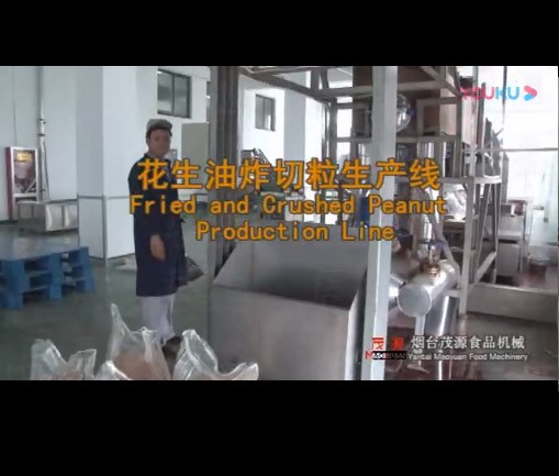 花生（shēng）米油炸切粒（lì）生產線（西安現場）