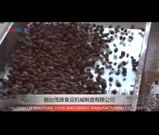 杏仁去核脫皮烘幹線（隆化現場）