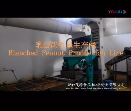 乳白花生米生（shēng）產線（青島現場）