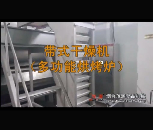 多功能連續烘烤爐（lú）（萊陽現場）