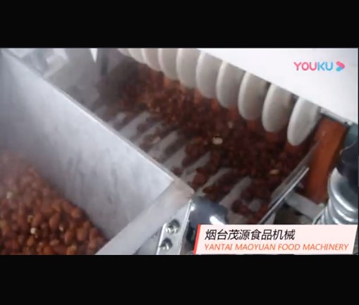 巴旦木（mù）濕法脫皮機