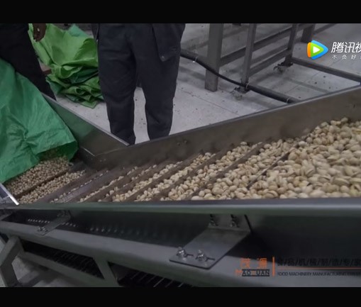 開心果（guǒ）烘烤線