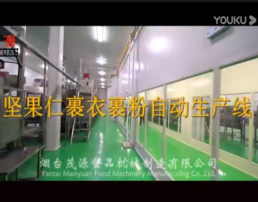 調味果仁自動（dòng）生產線（堅果仁裹（guǒ）衣裹粉）