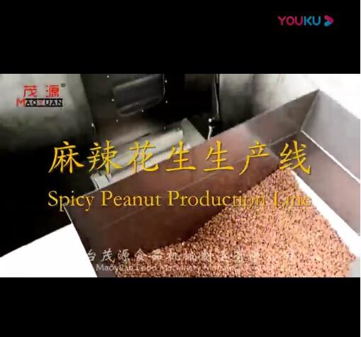 麻辣花生生（shēng）產線
