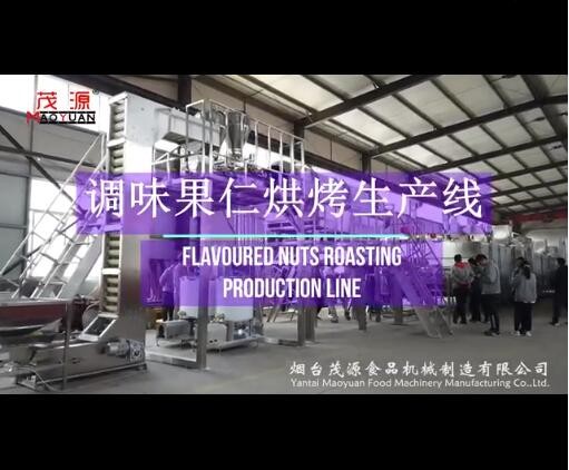 調味果仁（rén）烘烤生產線